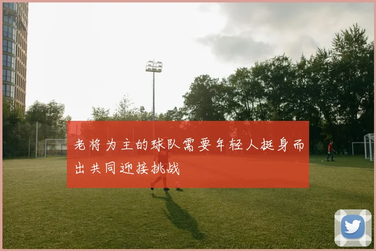 老将为主的球队需要年轻人挺身而出共同迎接挑战